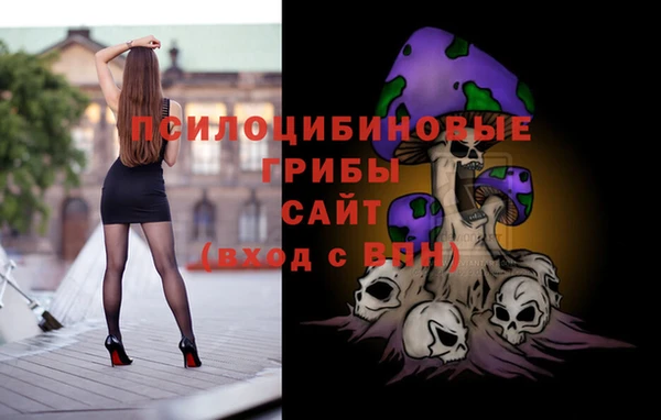 Альфа ПВП Приозерск