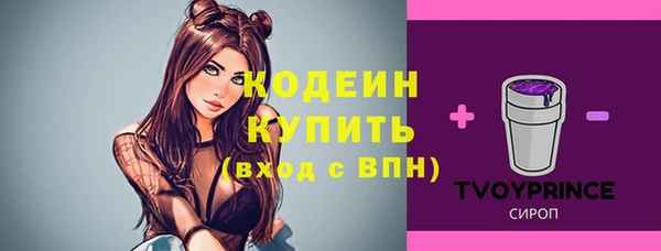 первитин Каменногорск