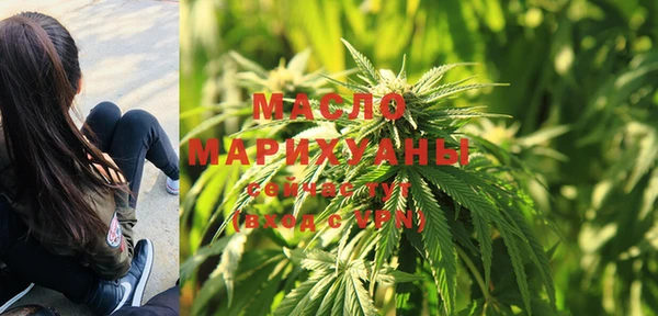 прущие крисы Каменка