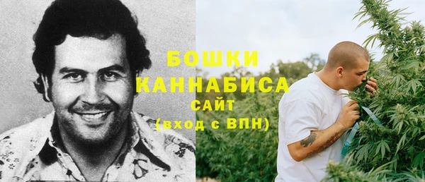 первитин Каменногорск