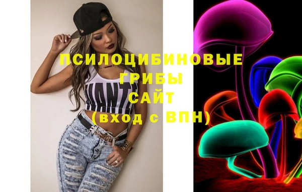 прущие крисы Каменка